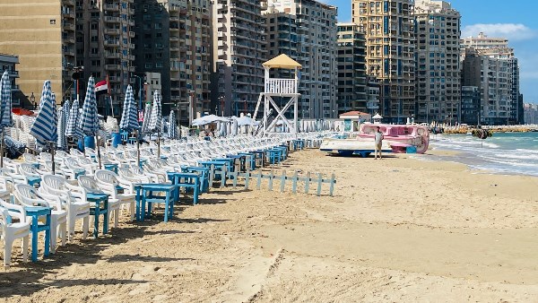 طالبة تحمل قطتها على المسرح خلال حفل التخرج .. تصرف ودعفوي من الأستاذ الجامعي