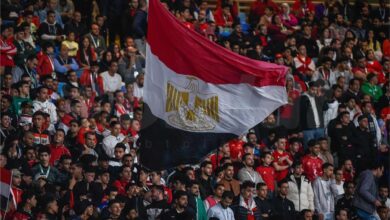 جمهور منتخب مصر