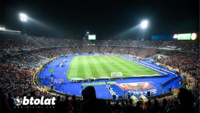 استاد القاهرة