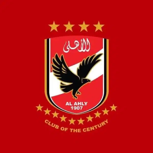 رد رسمي على أول صفقات الأهلي في يناير المقبل - AhlyNews.com