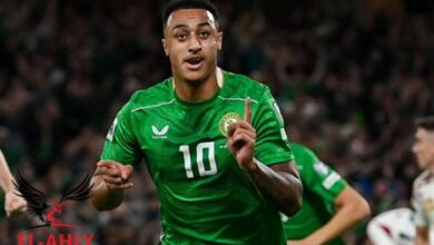 شاهد التعادل المثير بين المجر وأيرلندا في تصفيات كأس العالم