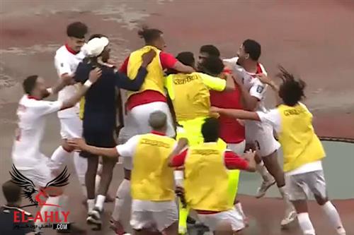 فيديو... بن رمضان يخطف هدف قاتل لمنتخب تونس ويعلن عن تأهله إلى المونديال