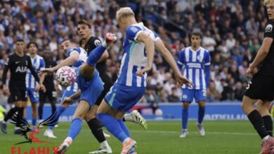 فيديو... شاهد التعادل المثير بين توتنهام وبرايتون في الدوري الإنجليزي الممتاز