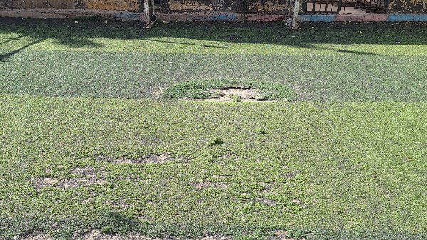 وكيل مديرية الشباب بالجيزة يكسو الملاعب المتهالكة بـ نجيل لتجديدها