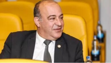 قمة شرم الشيخ تمثل محطة تاريخية في مسار دعم مصر للقضية الفلسطينية