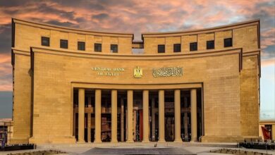 نائب محافظ البنك المركزي : إعداد جيل ثاني من المصرفيين على رأس أولويات صندوق دعم القطاع المصرفي