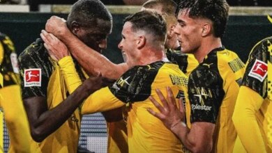 بوروسيا دورتموند يحقق انتصارًا ثمينًا أمام ليفركوزن ويطارد بايرن ميونخ على صدارة الدوري الألماني