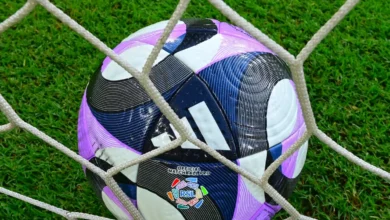 اتحاد الكرة يُعلن حكام مباريات اليوم في الجولة الثانية عشر لدوري روشن – كورة بريك