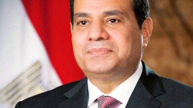 بعد الإنجاز التاريخي.. اتحاد الكاراتيه يوجّه رسالة تقدير للرئيس السيسي عقب تصدر مصر بطولة العالم