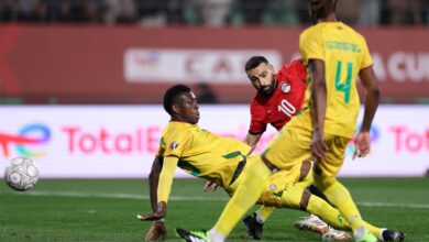 مصر وجنوب إفريقيا