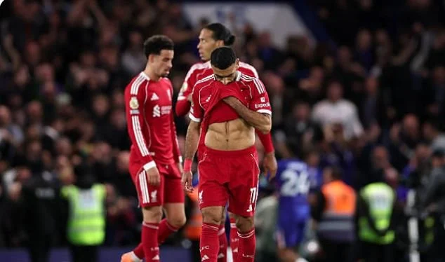 موعد انضمام محمد صلاح لمنتخب مصر للمشاركة فى أمم أفريقيا 2025