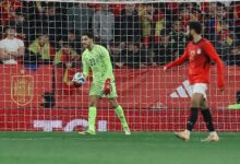 شوبير حارس جيد لكن الشناوي سيحرس عرين المنتخب في المونديال