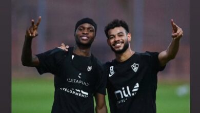 برسالة حب.. شيكوبانزا يحتفل بعيد ميلاد دونجا