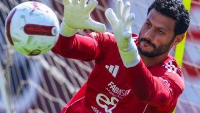 خبير تحكيمي عن لقطة الشناوي: لو تم ذكر المشادة سيتعرض للإيقاف وغرامة