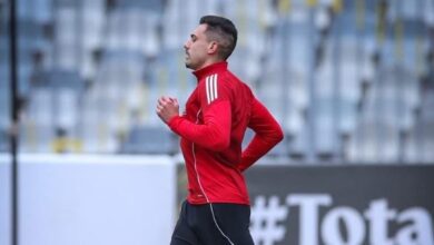 2 مليون دولار.. قرار جديد من الأهلي بشأن جراديشار