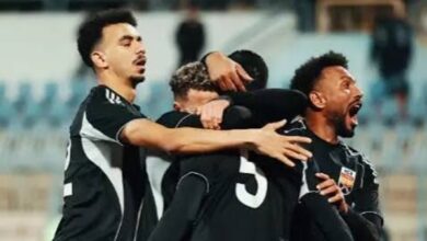 الجونة يخطف فوزا ثمينا من فاركو ويعزز موقفه في صراع البقاء