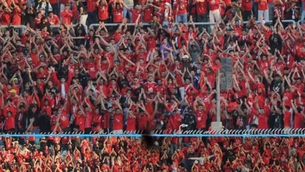 المارد يعود .. جماهير الأهلي تحتفل بتعادل الزمالك أمام إنبي قبل مواجهة بيراميدز